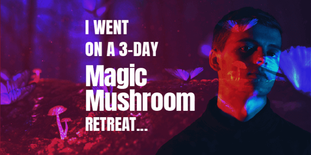 I Went on a 3-day Magic Mushroom Retreat…
